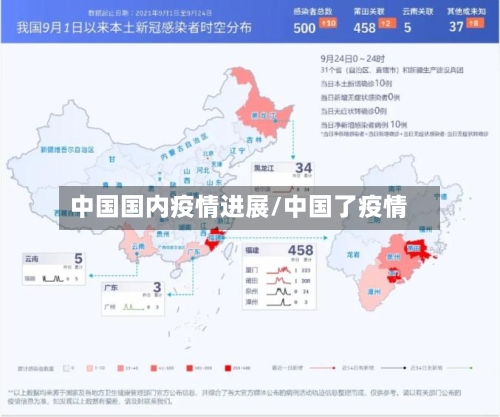 中国国内疫情进展/中国了疫情