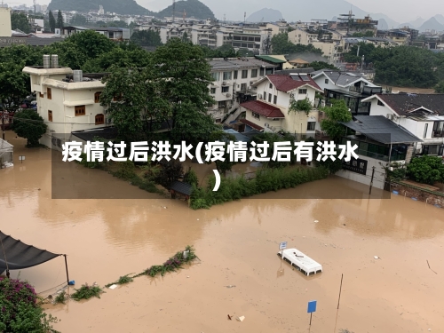 疫情过后洪水(疫情过后有洪水)-第2张图片