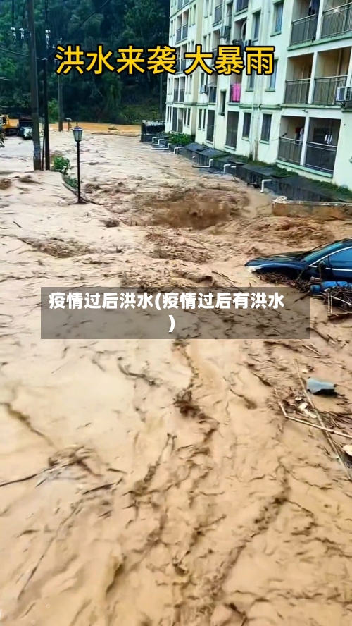 疫情过后洪水(疫情过后有洪水)