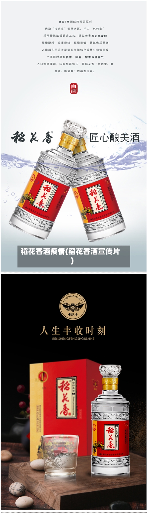 稻花香酒疫情(稻花香酒宣传片)