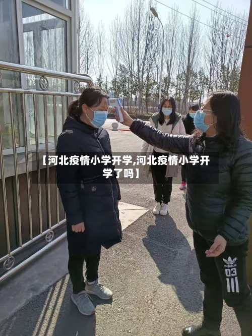 【河北疫情小学开学,河北疫情小学开学了吗】