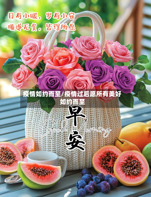 疫情如约而至/疫情过后愿所有美好如约而至-第3张图片