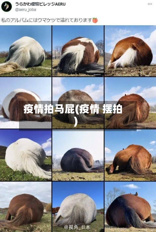 疫情拍马屁(疫情 摆拍)