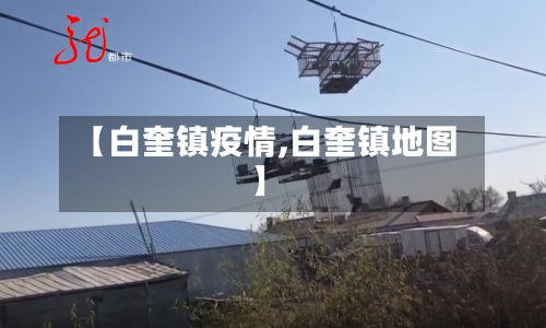 【白奎镇疫情,白奎镇地图】