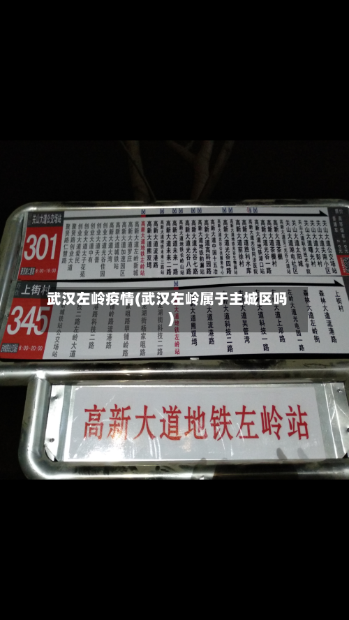 武汉左岭疫情(武汉左岭属于主城区吗)