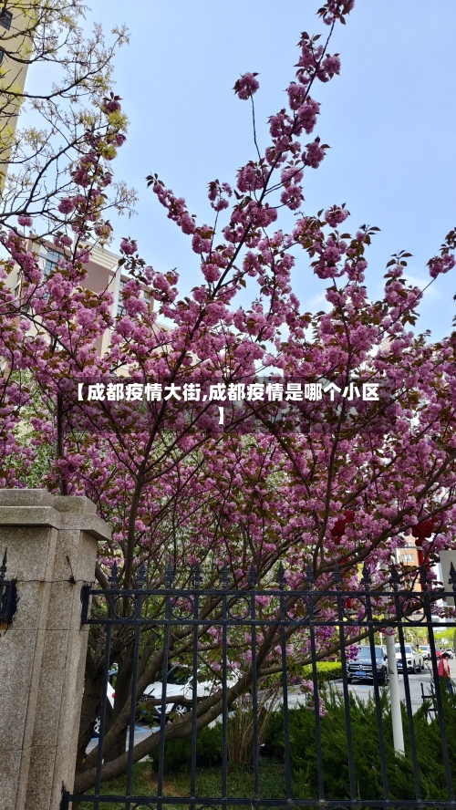 【成都疫情大街,成都疫情是哪个小区】