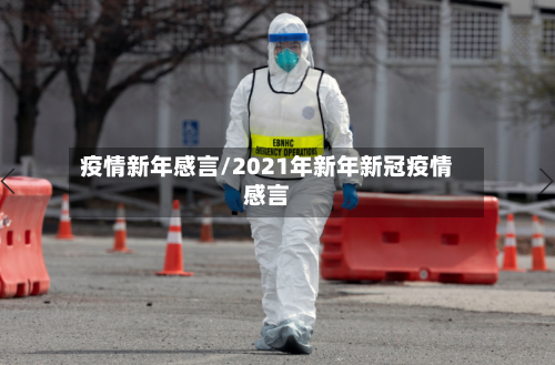 疫情新年感言/2021年新年新冠疫情感言-第2张图片