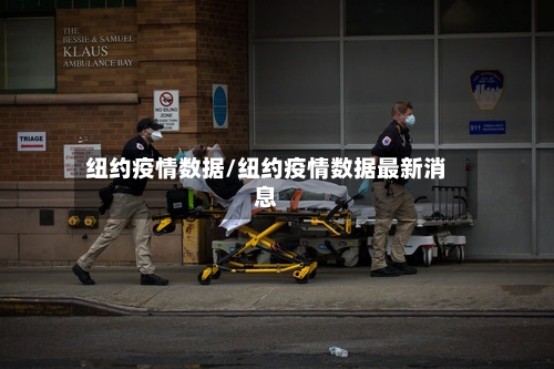 纽约疫情数据/纽约疫情数据最新消息-第3张图片