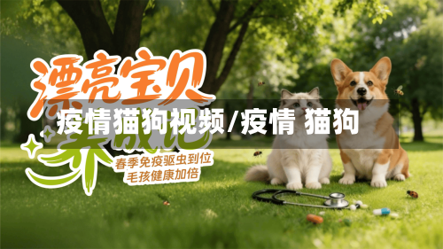 疫情猫狗视频/疫情 猫狗