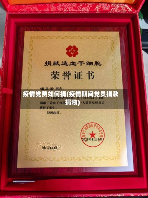 疫情党费如何捐(疫情期间党员捐款捐物)-第2张图片