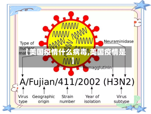 【美国疫情什么病毒,美国疫情是】-第3张图片