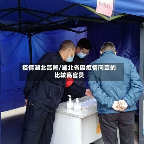 疫情湖北高管/湖北省因疫情问责的比较高官员-第3张图片