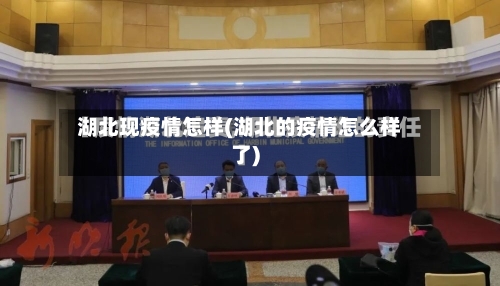 湖北现疫情怎样(湖北的疫情怎么样了)-第2张图片
