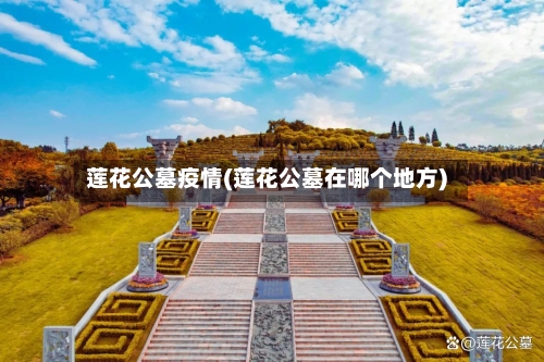 莲花公墓疫情(莲花公墓在哪个地方)