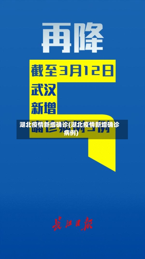 湖北疫情新增确诊(湖北疫情新增确诊病例)-第2张图片