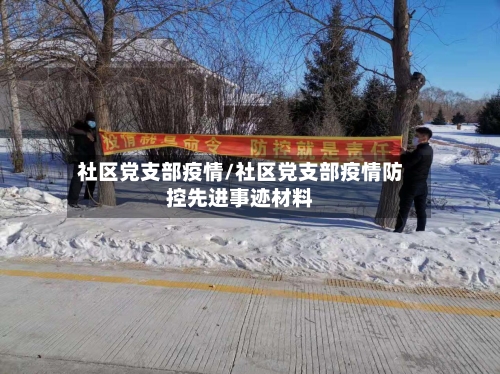 社区党支部疫情/社区党支部疫情防控先进事迹材料-第2张图片