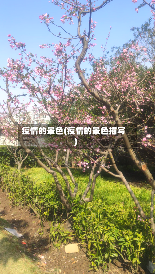 疫情的景色(疫情的景色描写)-第3张图片