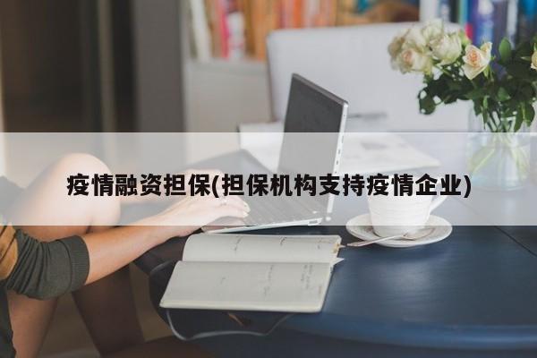疫情融资担保(担保机构支持疫情企业)